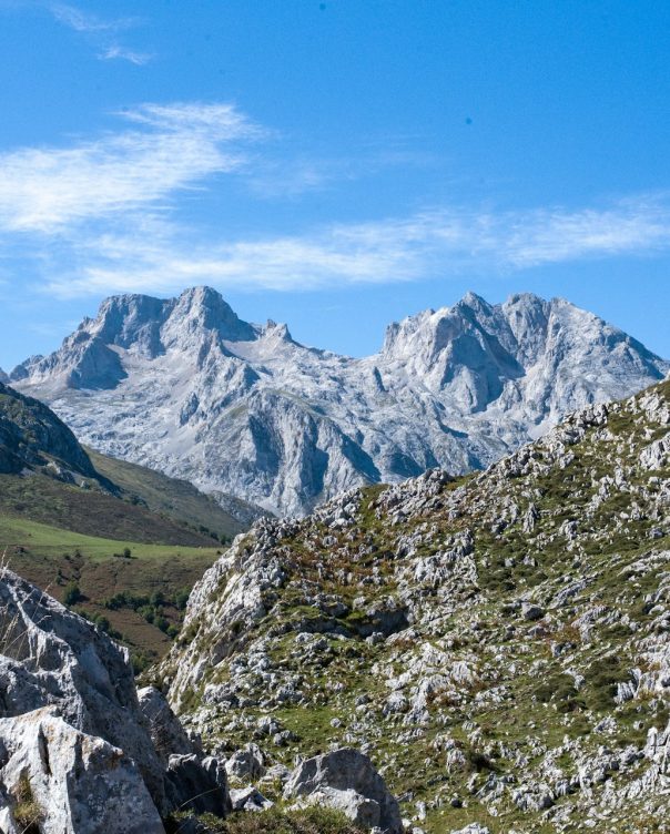 kaja-kadlecova-FGkAjTzZUeg-unsplash